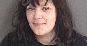 CRUZ, MARIA CRISTINA | 2020-02-10 Story County, Iowa Booking