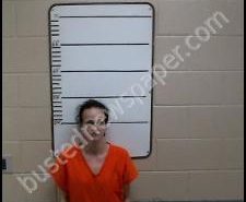 JULIE HIGGINS | 2020-02-10 02:41:00 Morgan County, Tennessee Booking