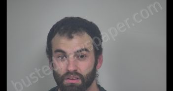 DUSTIN LEWIS MOSELEY | 2020-02-10 01:09:00 Rockbridge Regional Jail, Virginia Booking