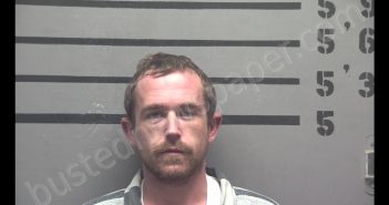 JOSHUA <B>DAVID</B> STEELEY #, Hopkins County, Kentucky - 2020-02-10 11:39:00