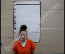 STEPHANIE HARVEY | 2020-02-10 17:17:00 Morgan County, Tennessee Booking