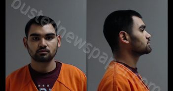 <B>HERNANDEZ</B>, <B>HECTOR</B>, <B>JR</B>. #, Hidalgo County, Texas - 2020-02-10