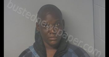 CHRISTINA GARCEL DEBRAUX | 2020-02-10 23:18:00 Virginia Peninsula Regional Jail, Virginia Booking