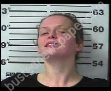 REBECCA BARNETT | 2020-02-11 11:55:00 Gibson County, Tennessee Booking