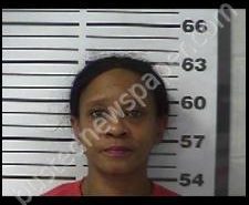 ELIZABETH SKINNER | 2020-02-11 16:30:00 Gibson County, Tennessee Booking