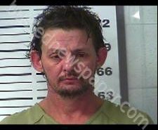 DARIN ALEXANDER | 2020-02-11 12:41:00 Gibson County, Tennessee Booking