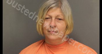 FITZPATRICK, REBECCA LYNN | 2020-02-11 01:43:00 Florence County, South Carolina Booking