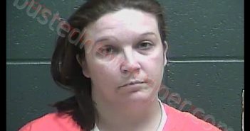<B>SARAH</B> <B>DIANN</B> <B>HARRIS</B> #, Perry County, Indiana - 2020-02-11 15:06:00