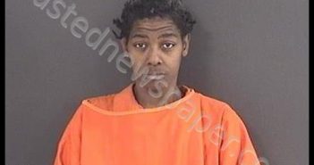 REED, TIMECA ANTWONETT | 2020-02-11 02:43:00 Roanoke County, Virginia Booking