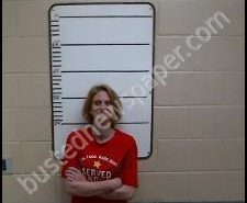 PAMELA SHILLINGS | 2020-02-11 14:53:00 Morgan County, Tennessee Booking