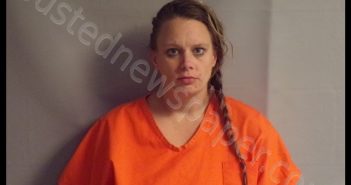 MCGEE, JESSICA JO | 2020-02-11 07:15:00 Tyler County, West Virginia Booking
