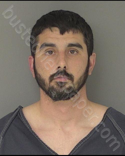 WILLIAMS, MICHAEL DAVID #, Greene County, Ohio - 2020-02-11 11:55:00