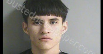 <B>GOMEZ</B>, JESUS <B>ELEAZAR</B> #, Wharton County, Texas - 2020-02-12 13:03:00