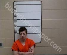 PROMISE SMITH | 2020-02-12 14:21:00 Morgan County, Tennessee Booking