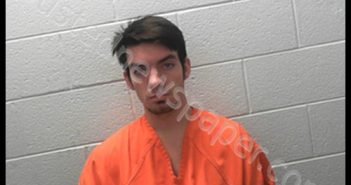 WEAVER, WILLIAM RICHARD | 2020-02-12 07:00:00 Taylor County, West Virginia Booking