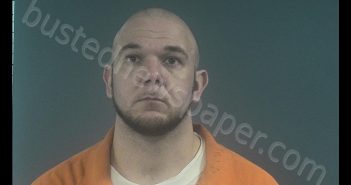 MATTHEW DAVID DOYLE | 2020-02-12 12:00:00 Western Tidewater, Virginia Booking