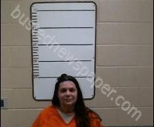 JENNY PARTON | 2020-02-12 20:04:00 Morgan County, Tennessee Booking