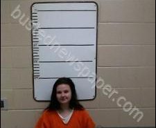 TRINITY HAIRE | 2020-02-12 16:35:00 Morgan County, Tennessee Booking