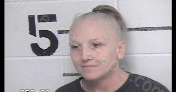 JOHNSON, LAURA LYNN | 2020-02-12 Chase County, Kansas Booking