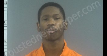 DOMINIQUE MAURICE ROBINSON | 2020-02-12 12:00:00 Western Tidewater, Virginia Booking