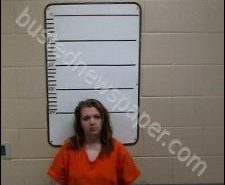 CHERISH LANGLEY | 2020-02-14 21:30:00 Morgan County, Tennessee Booking