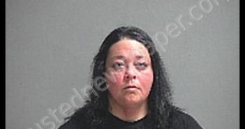 STULL ELIZABETH | 2020-02-14 Sandusky County, Ohio Booking