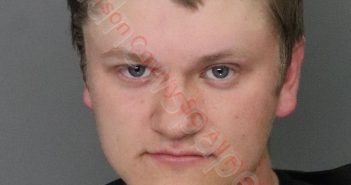 <B>DYLAN</B> <B>MATTHEW</B> <B>MCALISTER</B> #, Anderson County, South Carolina - 2020-02-14 10:15:00