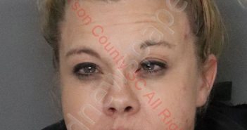 AMY CARISSA GINN | 2020-02-14 03:51:00 Anderson County, South Carolina Booking