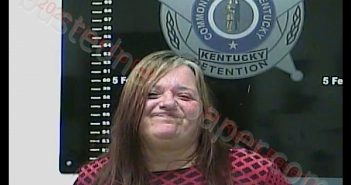 JENNIFER ANN CLARKE | 2020-02-16 01:21:00 Clark County, Kentucky Booking