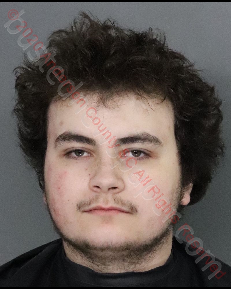 JUSTICE ALLEN JACOB ARROYO #, Anderson County, South Carolina - 2020-02-16 14:45:00