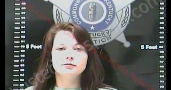 JULIE ROSE RISON | 2020-02-16 22:22:00 Clark County, Kentucky Booking