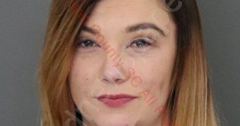 BRIANNA MARIE HAWKINS | 2020-02-16 20:39:00 Anderson County, South Carolina Booking