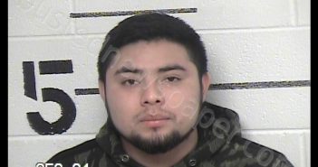 GONZALEZ-LOPEZ, ALEJANDRO | 2020-02-17 Chase County, Kansas Booking