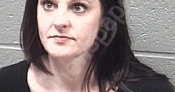 HARTSELL, SANDRA NICOLE | 2020-02-17 13:00:00 Stanly County, North Carolina Booking
