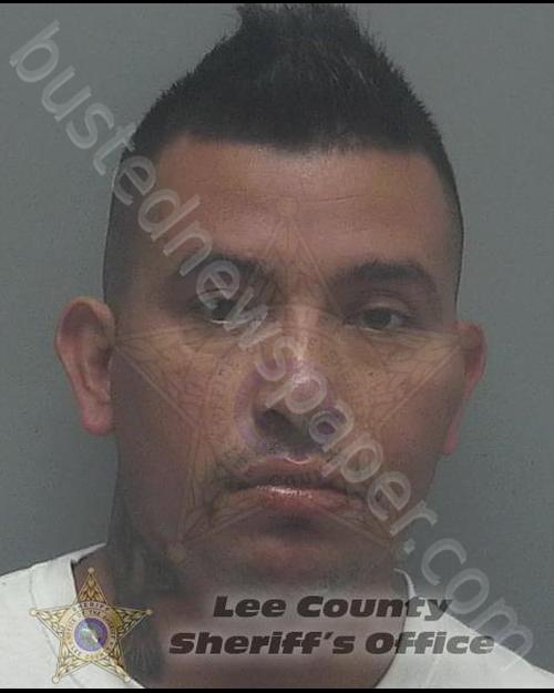 HERNANDEZ MARIN, PABLO #, Lee County, Florida - 2020-02-17 07:03:00