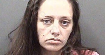 SUTTON, SABRINA BETH | 2020-02-17 15:44:00 Rowan County, North Carolina Booking