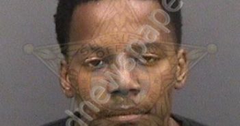 <B>COLEMAN</B>,<B>COREY</B> #, Hillsborough County, Florida - 2020-02-17 19:23:00