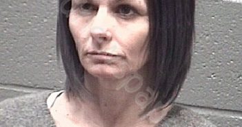 BURLESON, BRONWYN BROOKS | 2020-02-17 13:00:00 Stanly County, North Carolina Booking