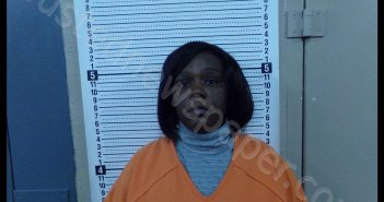 AMANDA RENEE BRYANT | 2020-02-18 09:43:00 Scott County, Missouri Booking