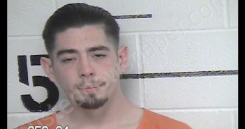 ALBRIGHT, SHANNON | 2020-02-18 Chase County, Kansas Booking