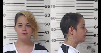 <B>HAYES</B>, <B>BRANDY</B> GAIL #, Henderson County, Texas - 2020-02-19