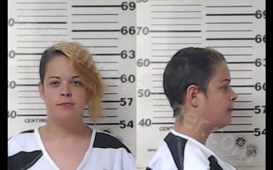 HAYES, BRANDY GAIL #, Henderson County, Texas - 2020-02-19