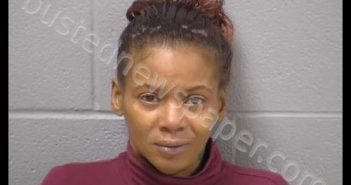 <B>JOHNSON</B>, <B>PORSHIA</B> <B>N</B> #, Will County, Illinois - 2020-02-19 20:43:00