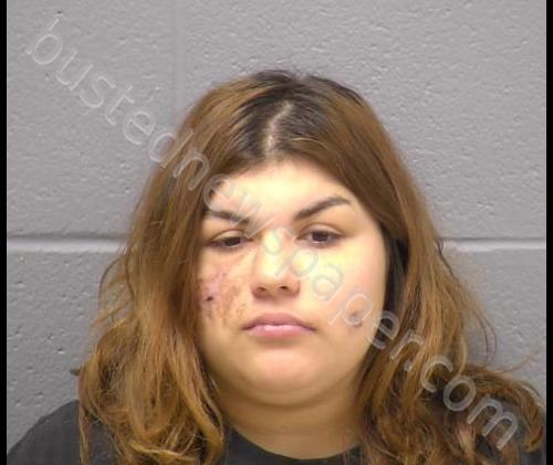 JOHNSON-MEDRANO, ALICIA N #, Will County, Illinois - 2020-02-19 19:18:00