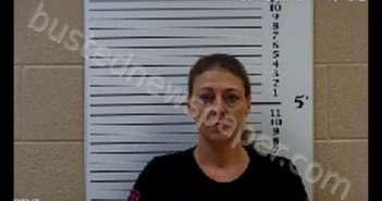 MUSE, JAMIE RUTH | 2020-02-19 10:46:00 Cherokee County, North Carolina Booking