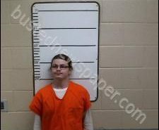 LOGAN ARMES | 2020-02-19 11:49:00 Morgan County, Tennessee Booking