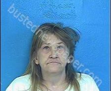 LINDA SPROLES | 2020-02-19 11:27:00 Sullivan County, Tennessee Booking