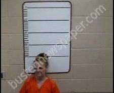 LATISHIA HAMBY | 2020-02-19 14:41:00 Morgan County, Tennessee Booking