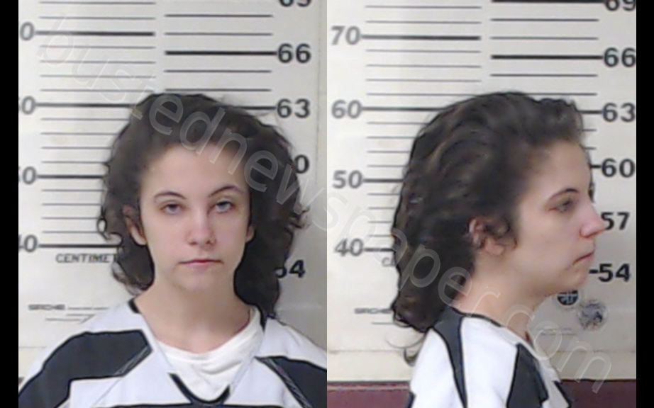 SIMPSON, LANA MARIE #, Henderson County, Texas - 2020-02-19