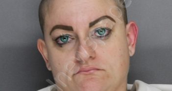 MEISELL, CHRISTINA RENEE | 2020-02-19 18:27:00 Ellis County, Texas Booking